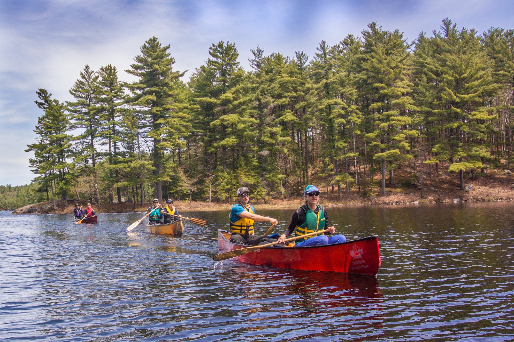 35698347_1877524395642577_7984399977709305856_n