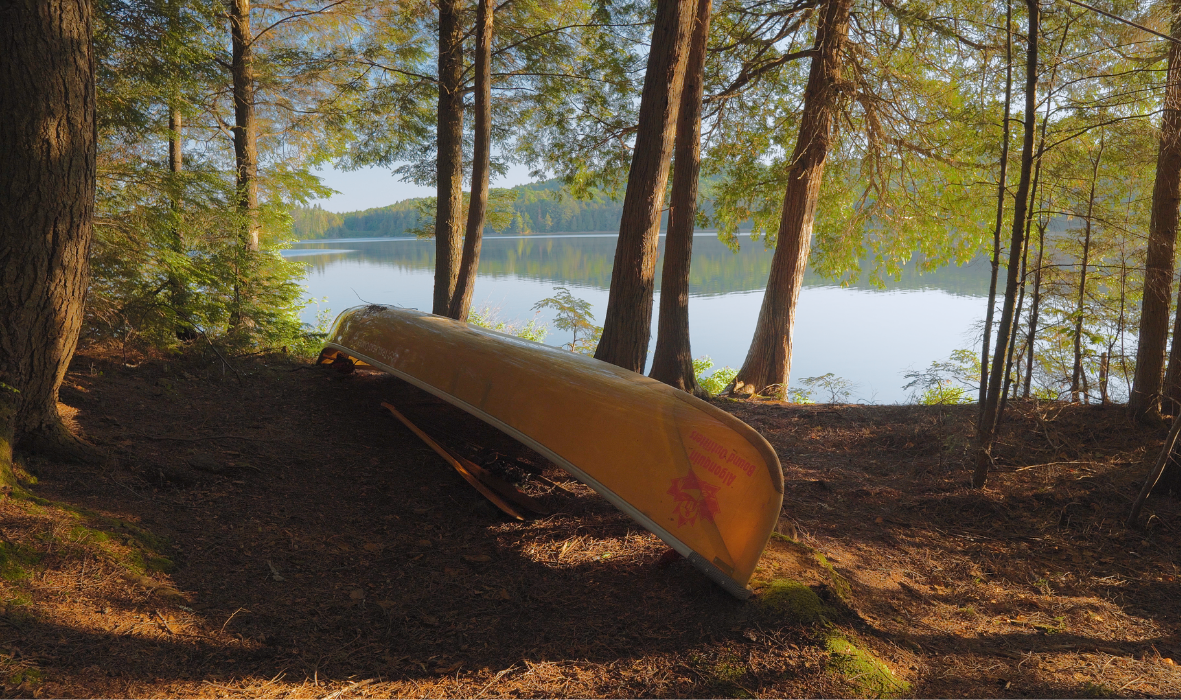 Black and White Classic Neutral Testimonial Social Media Post (Facebook Post) (4)